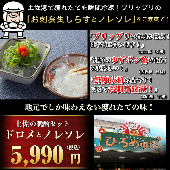 鮮度が違う土佐のどろめ