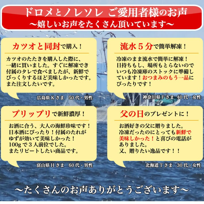 穴子の稚魚