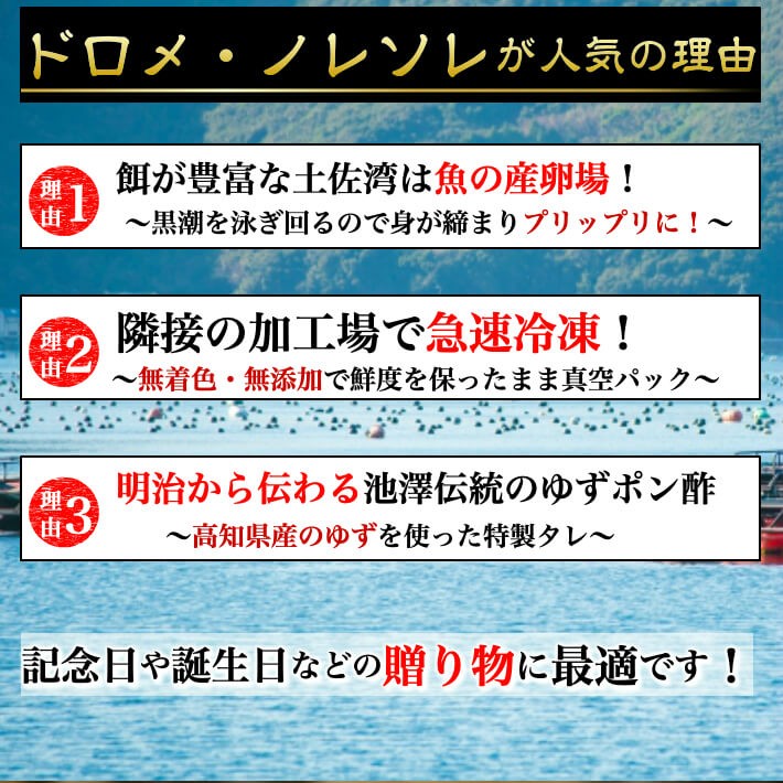 アナゴの稚魚