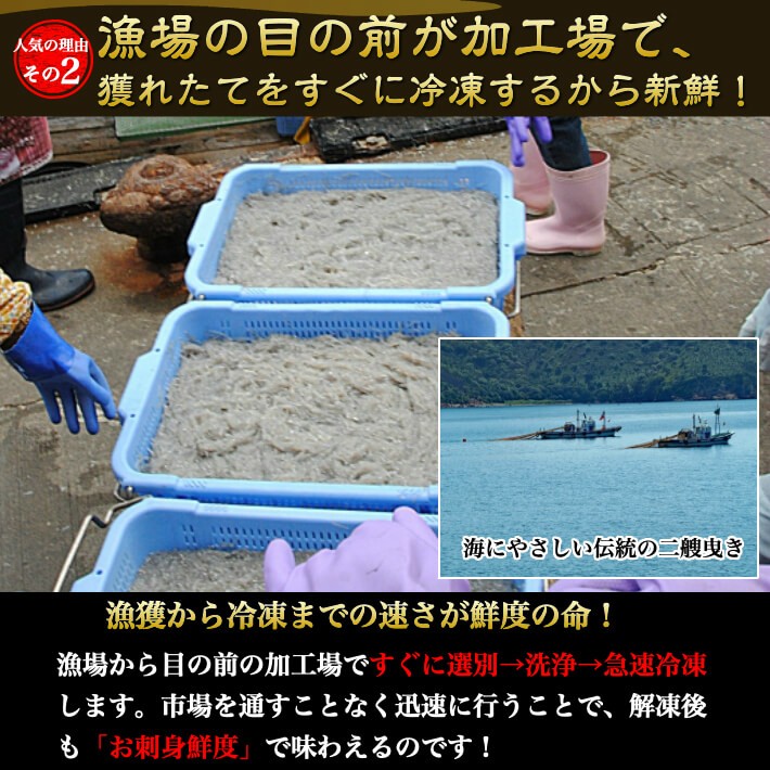生しらすを急速冷凍