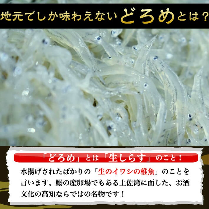 高知のドロメとは？