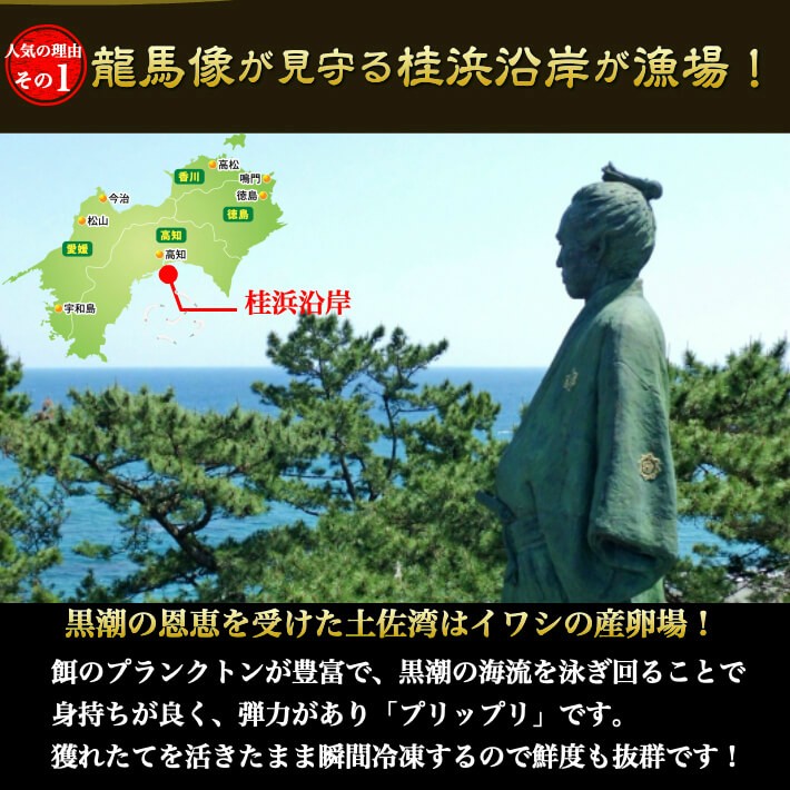 鰯の産卵場