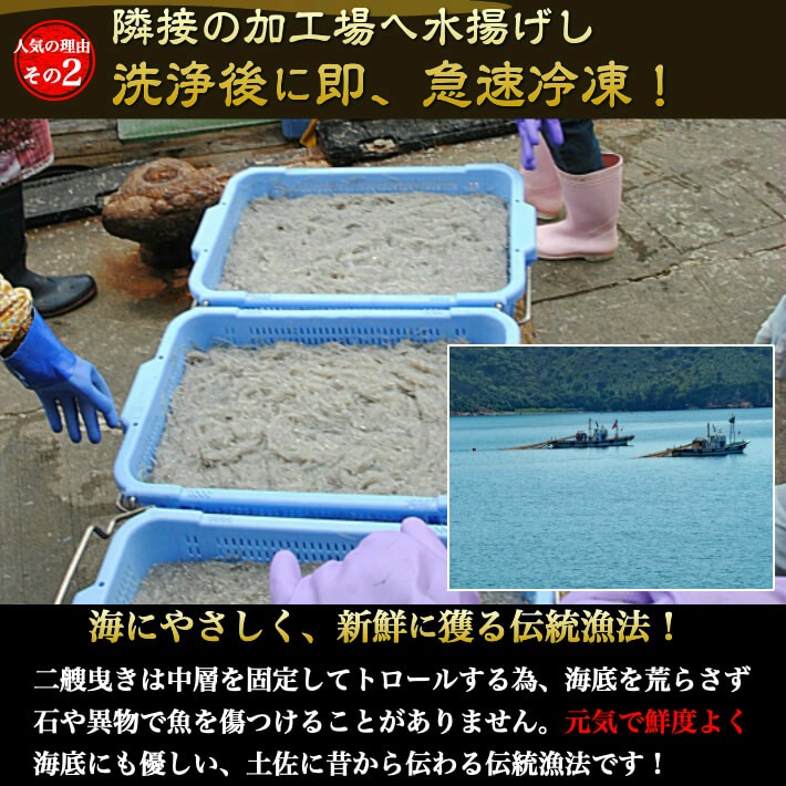 生しらすを急速冷凍