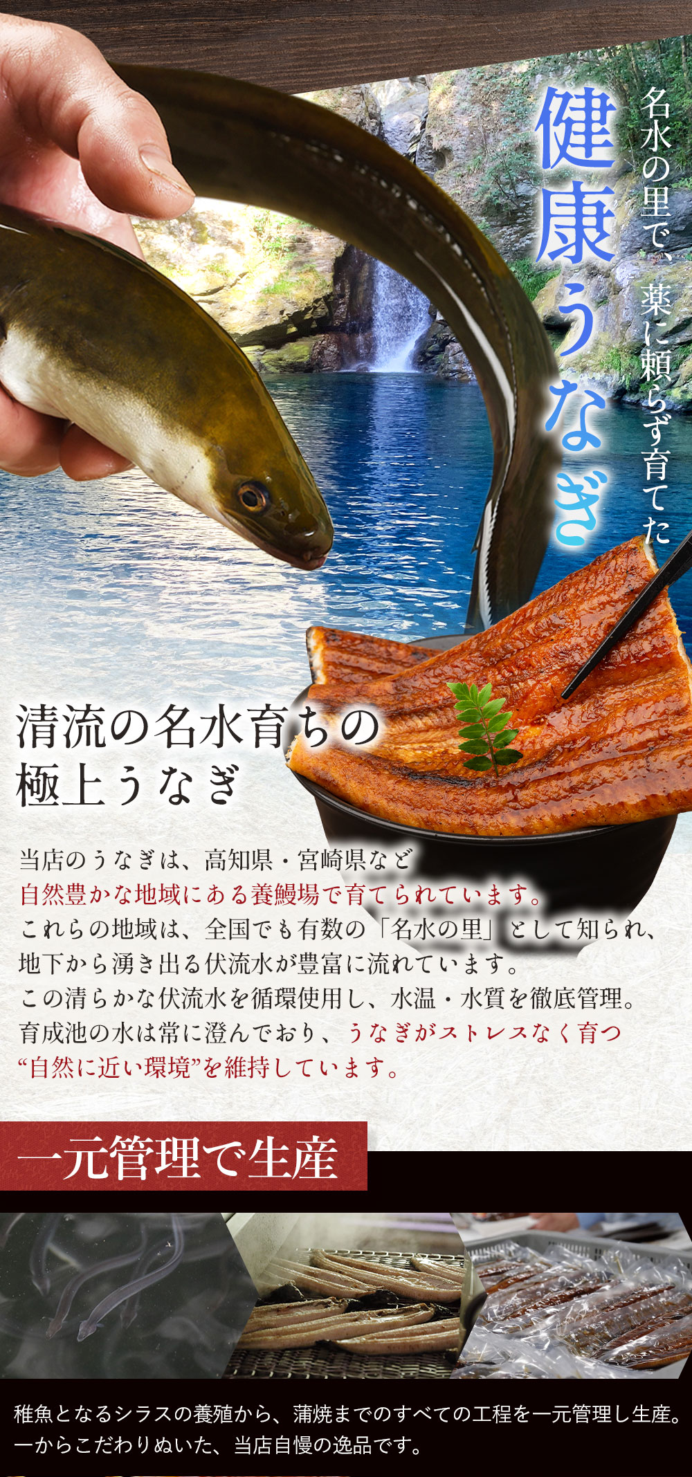 無添加うなぎ 健康志向の方に人気