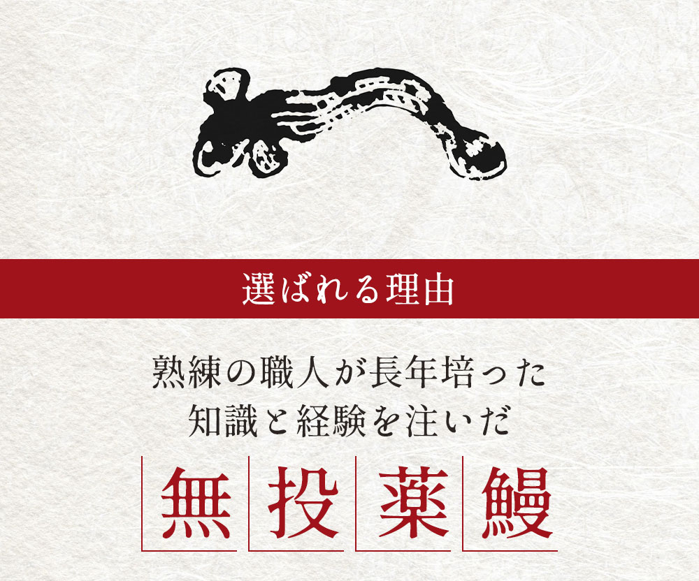 30cm超えの特大うなぎ