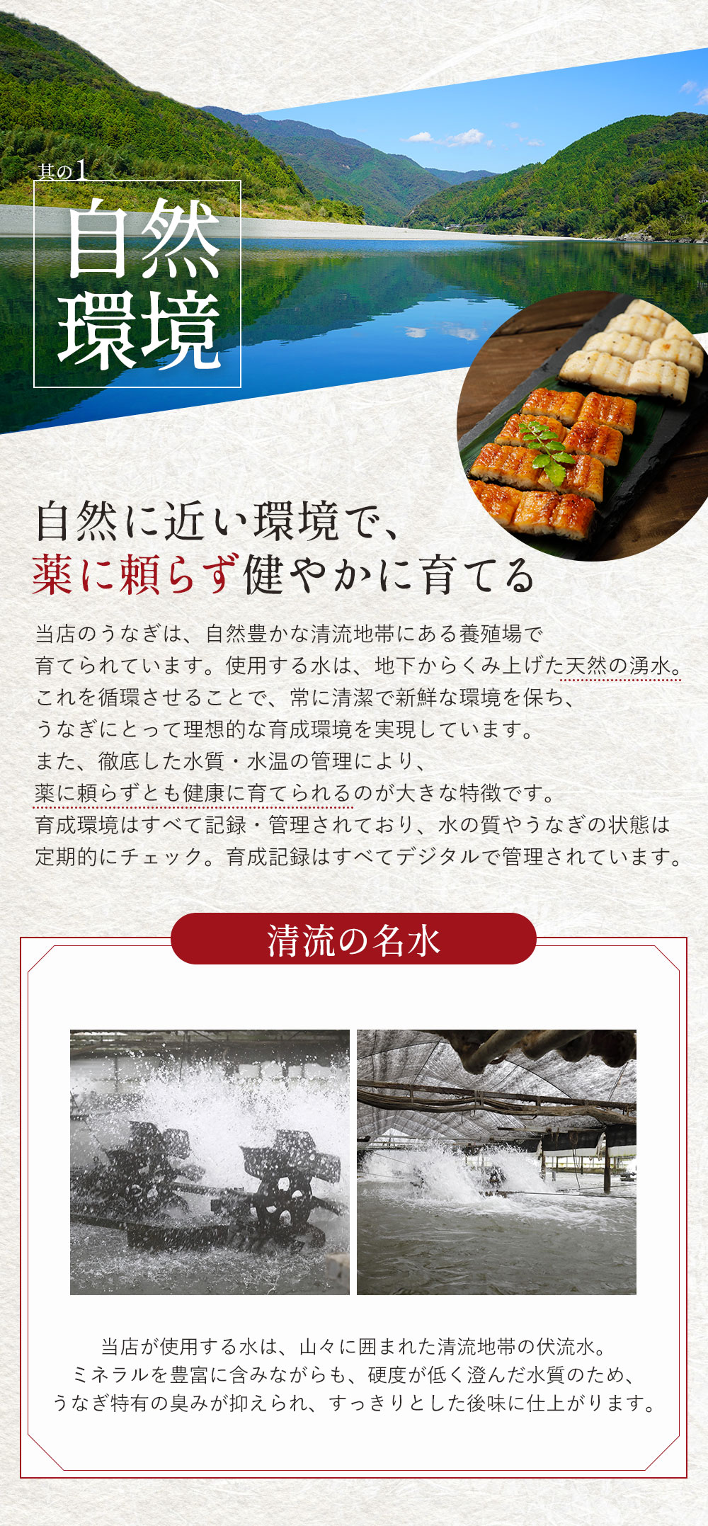 食べ比べにもギフトにも最適