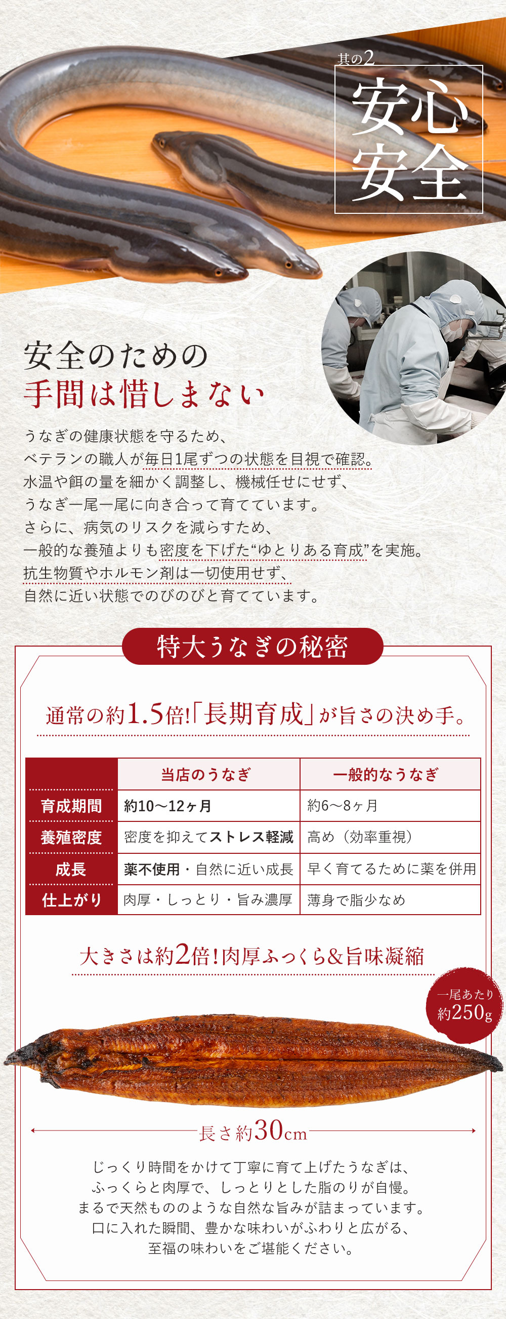 無添加・無投薬の安心うなぎ