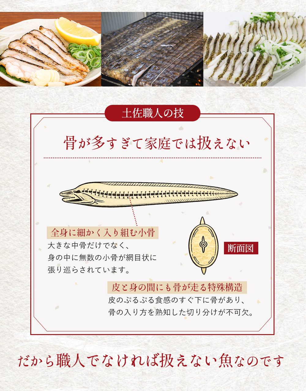 ウツボ堪能セット｜初めてでも安心 うつぼ講座 解凍・切り方・盛付け