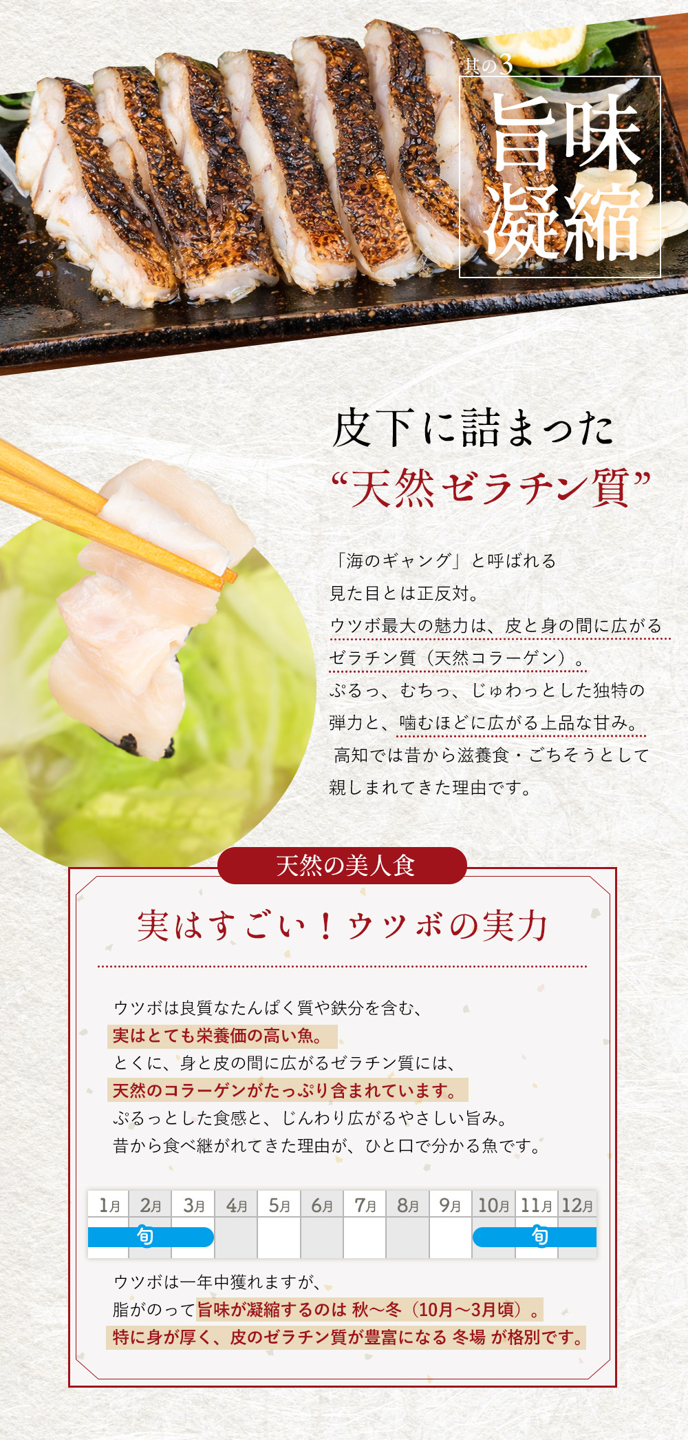 ウツボ堪能セット｜職人仕込みの骨抜き処理済み 食べやすい下処理