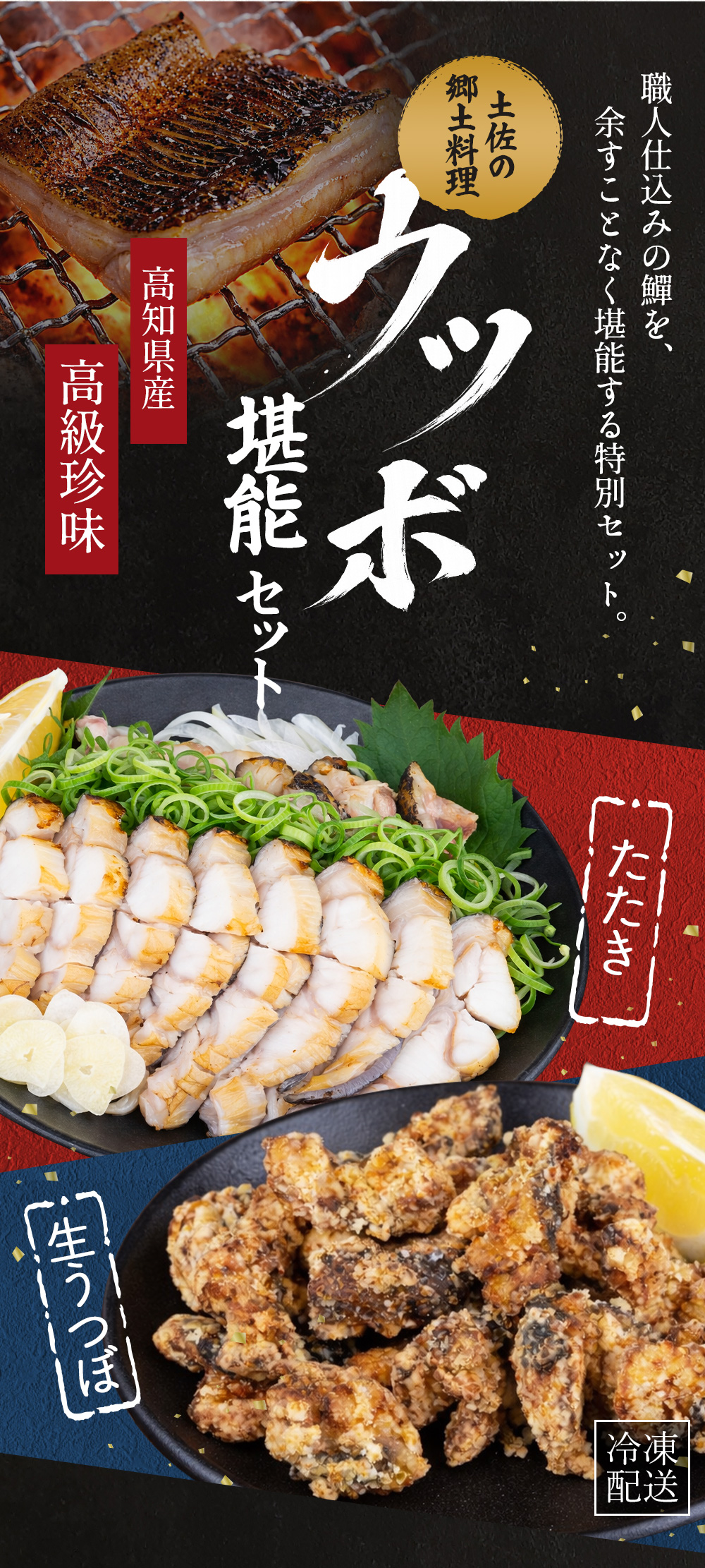 ウツボ堪能セット｜おつまみ・家飲みに最適 高知珍味うつぼ 食べ比べ