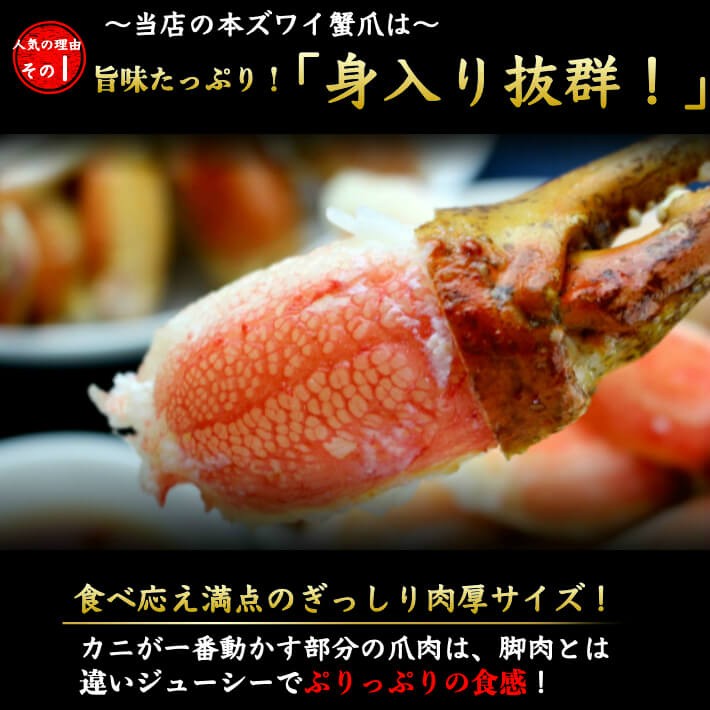 本ズワイガニ かに爪 1kg 切目入 ボイル済 約31-35個入 : 土佐 本ズワイガニ かに爪 1kg 切目入 ボイル済 約31-35個入 : 土佐