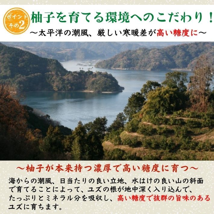 農薬を使用しない 実生 ゆず 有機栽培 無農薬 柚子 5kg 傷有