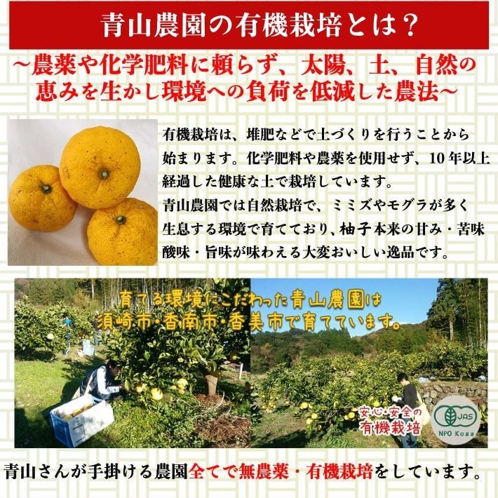 農薬を使用しない 実生 ゆず 有機栽培 無農薬 柚子 1kg 傷有 高知県産 : 10000298 : 土佐カツオとうなぎ通販 池澤鮮魚 - 通販 -  Yahoo!ショッピング