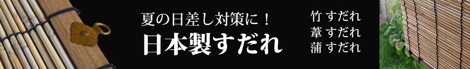 最大46%OFFクーポン カーテンレール ファンティア トップカバーセット 2.73mダブル タチカワブラインド 日本製 遮光性 断熱性  whitesforracialequity.org