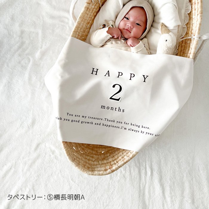 マンスリータペストリー用 ナンバーシール シール 月齢 数字 張替え 明朝体 マット おうちスタジオ 1歳 6ヶ月 韓国 ナチュラル おしゃれ シンプル インテリア |  | 04