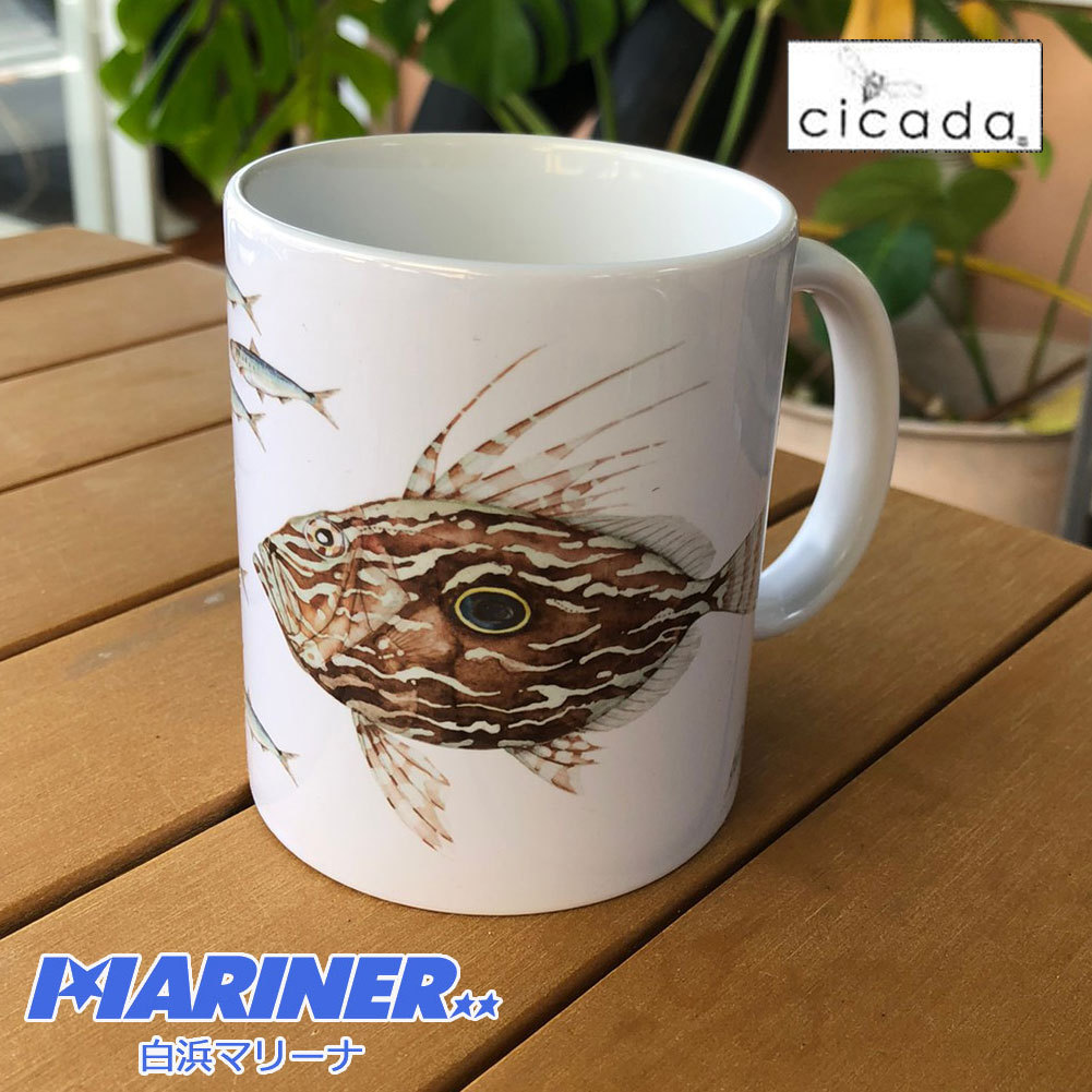 cicada-mag2dai.jpg