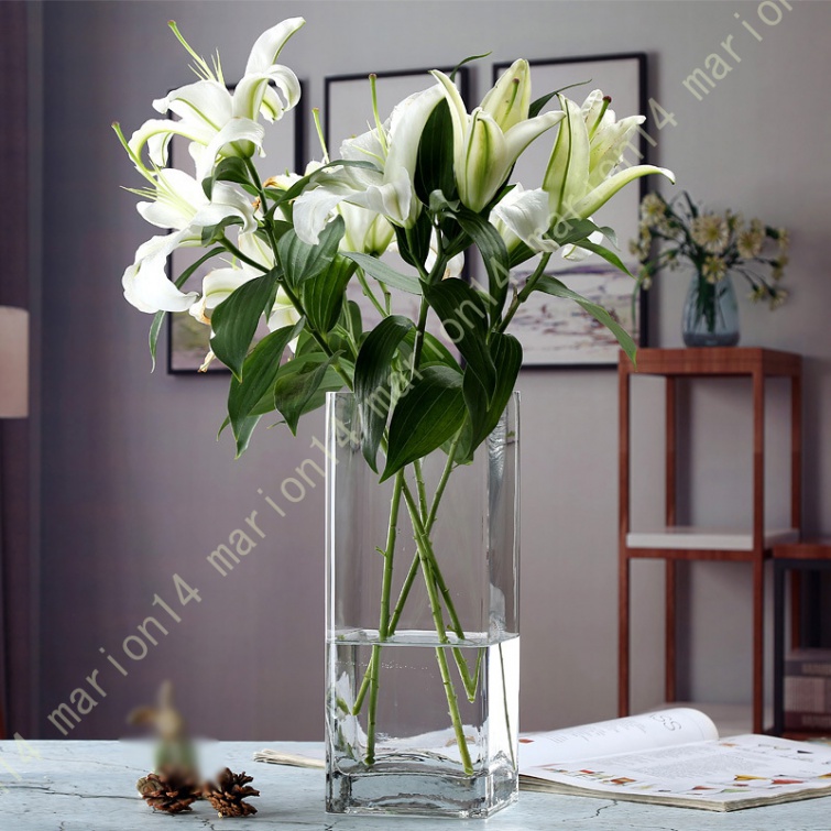 バカラ ポリーヌ花瓶フラワーベース大型サイズBaccarat 超重量