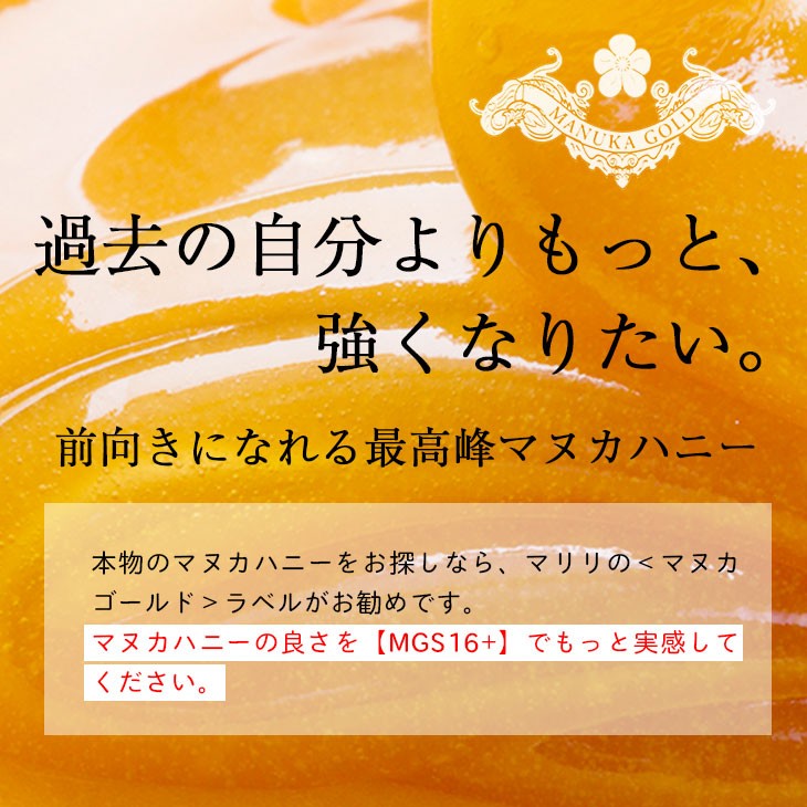 マヌカハニー 16+が250gあたり3725円！1kg×2本 マヌカゴールド