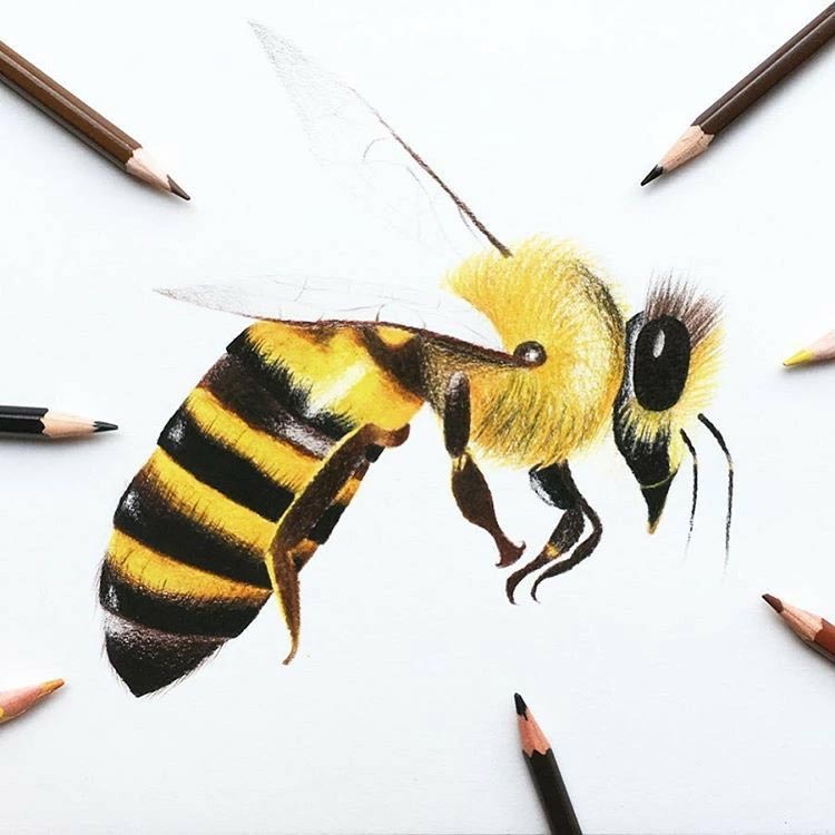 絵画⭐︎反芸術 全芯色鉛筆 制作200時間の超現実派鉛筆画。22歳の天才