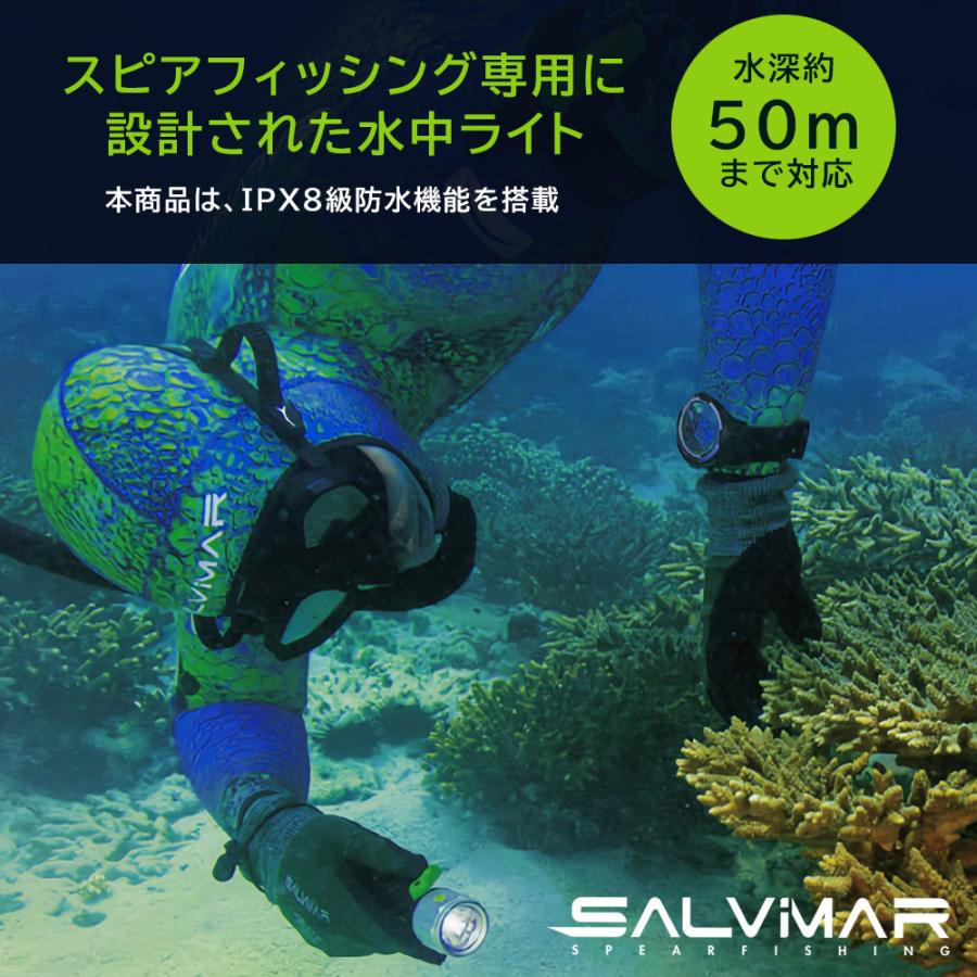 Salvimar サルビマー 水中ライト ダイビング ダイビングライト 水中懐中電灯 スピアフィッシング 魚突き 素潜り 単三電池 340ルーメン  深度50ｍ 防水 : map-ky1624 : スピアマン ヤフーショッピング店 - 通販 - Yahoo!ショッピング