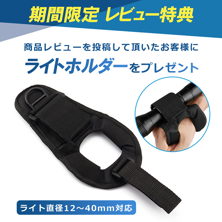 レビュープレゼント