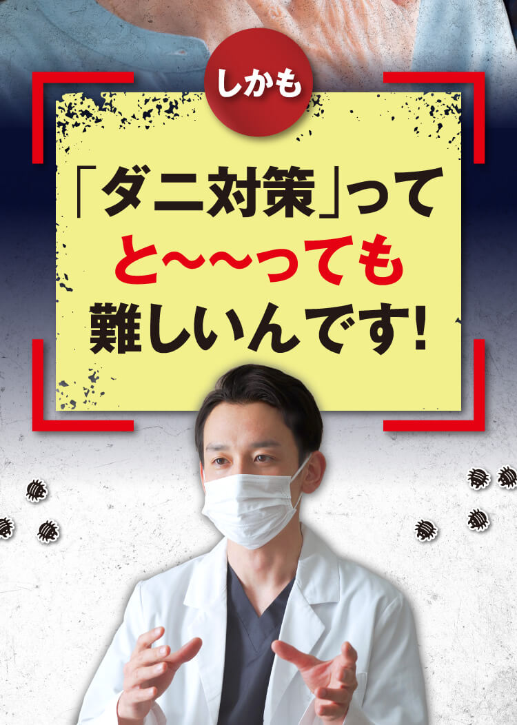 ダニ固め