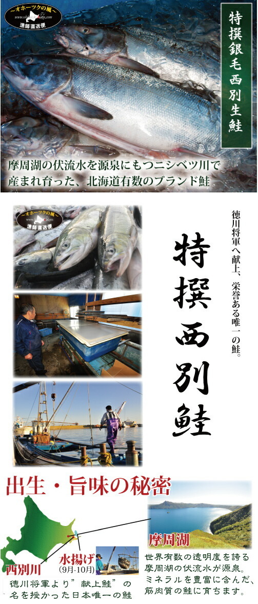 予約 新巻鮭 無塩 生鮭 輪切り 姿造り Lサイズ 北海道産 天然鮭 さけ サケ シャケ 一本物 箱入り 化粧箱 お歳暮  :405181:オホーツクの風 北海道かに専科 - 通販 - Yahoo!ショッピング