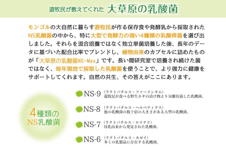大草原の乳酸菌 NS-Max 36カプセル　2袋 Amazon | 大草原の乳酸菌 NS-Max（36粒入）【1日2粒／約18日分