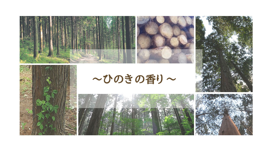 よもぎ蒸し用ヒノキ椅子！ひのきの香り