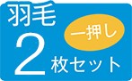 羽毛2枚
