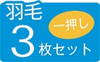 羽毛3枚