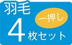 羽毛4枚