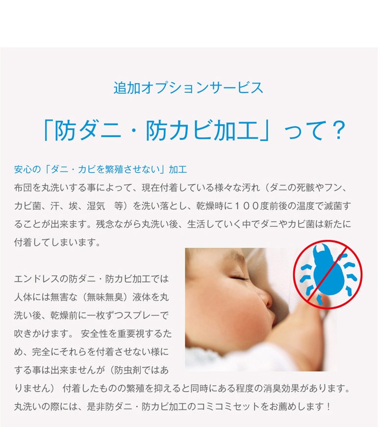 追加オプション