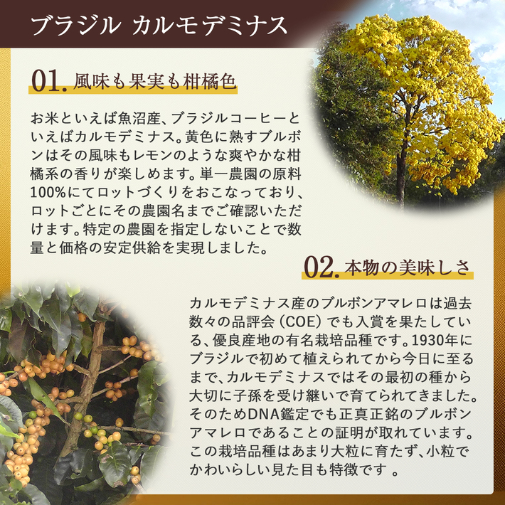 公式 丸福珈琲店 メール便 ポスト投函 送料無...の詳細画像1