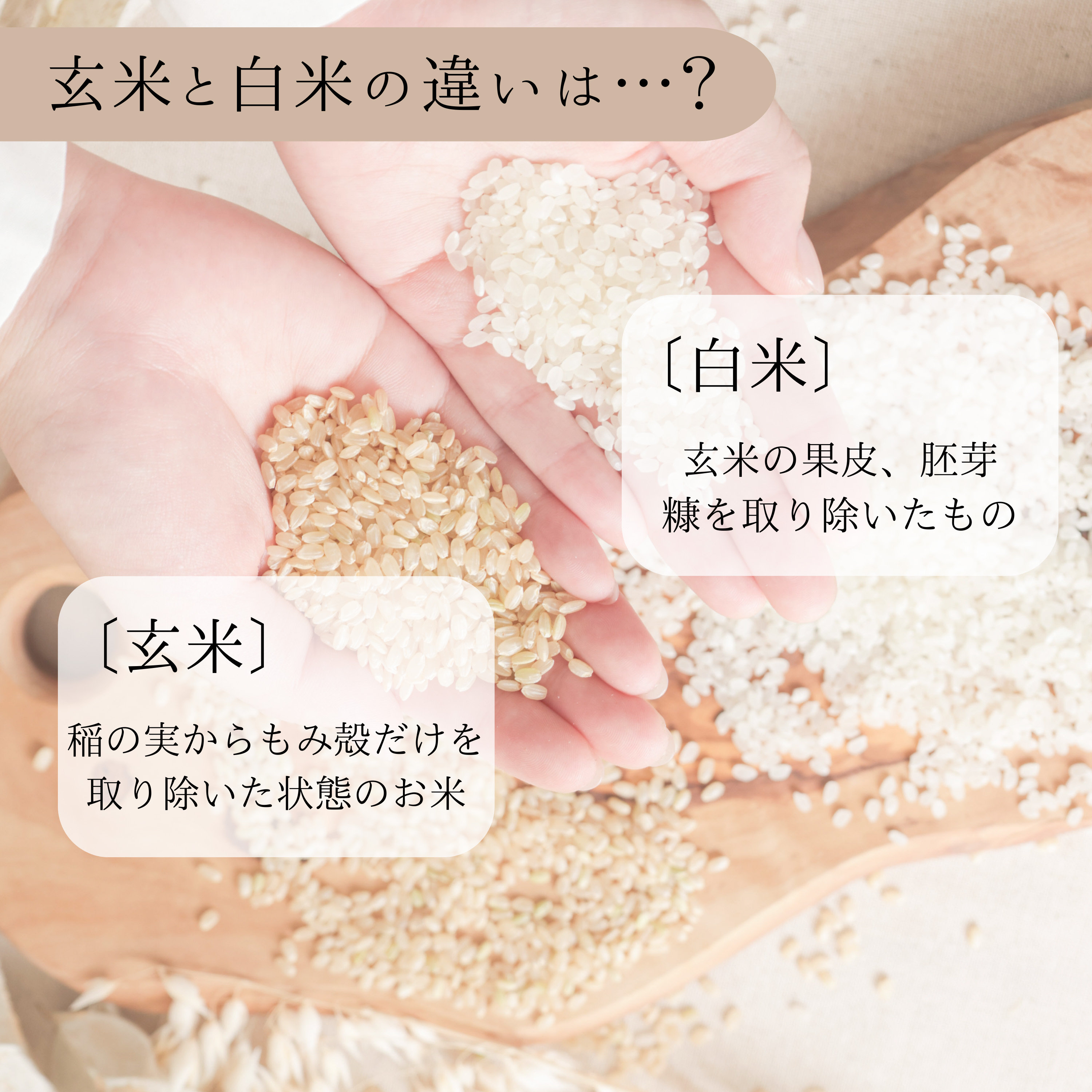 【取引中】コシヒカリ玄米30kg③ 新潟県栃尾産】コシヒカリ 玄米30kg | JAえちご中越公式オンライン