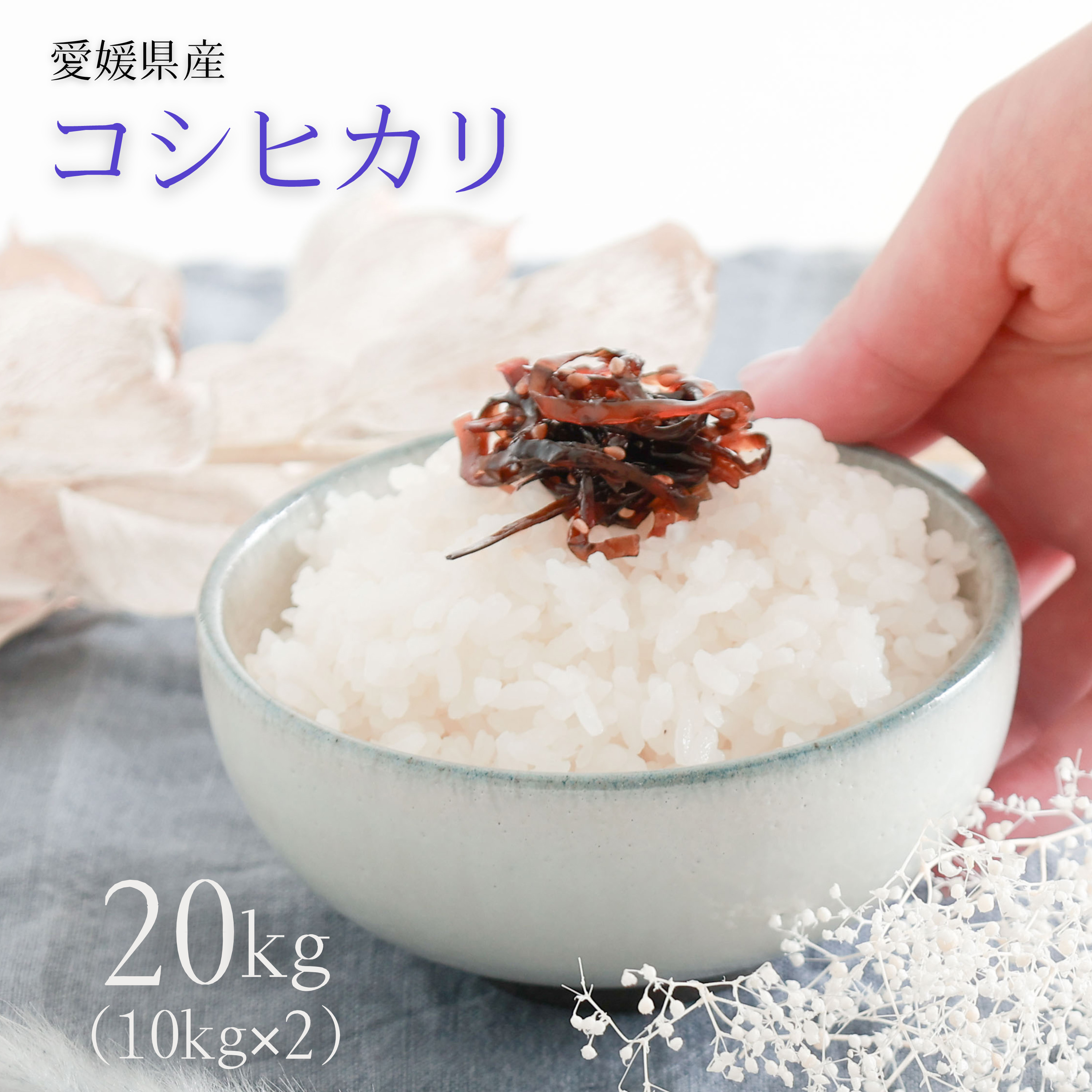 Yahoo! Yahoo!ショッピング(ヤフー ショッピング)愛媛県産 コシヒカリ 20kg （ 10kg × 2 ） 令和6年産 新米 白米 精米 備蓄米 お米 米 こめ こしひかり コシヒカリ  お米のまるひ マルヒ食糧 国産