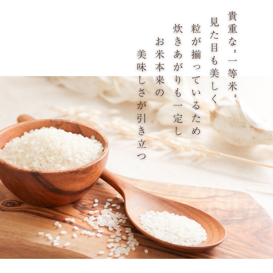 こめ こめコレ!米ピタクリップ / 株式会社曙産業｜プラスチック総合メーカー