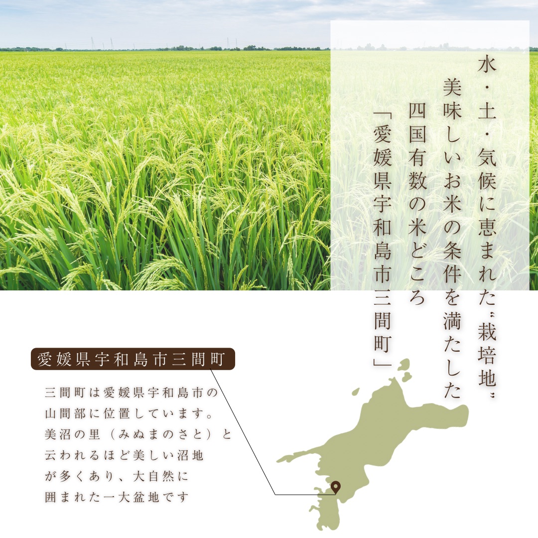 三間産 コシヒカリ 玄米 30kg 数量限定 新米 令和7年産使用 鬼米 白米