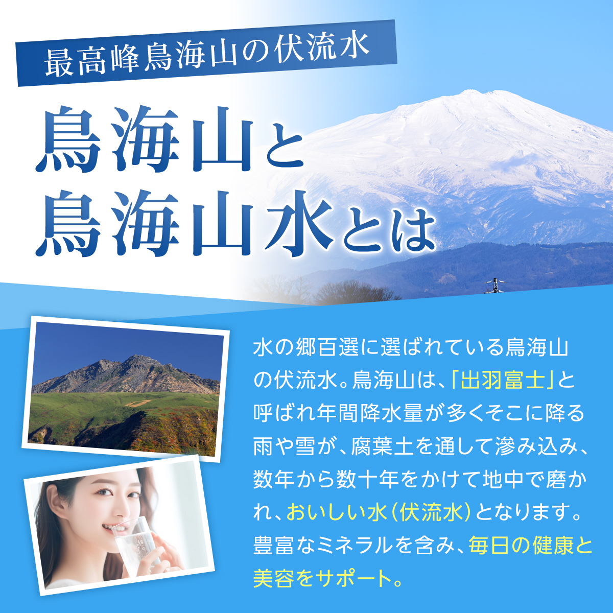  稲庭うどん切れ端 お試し用