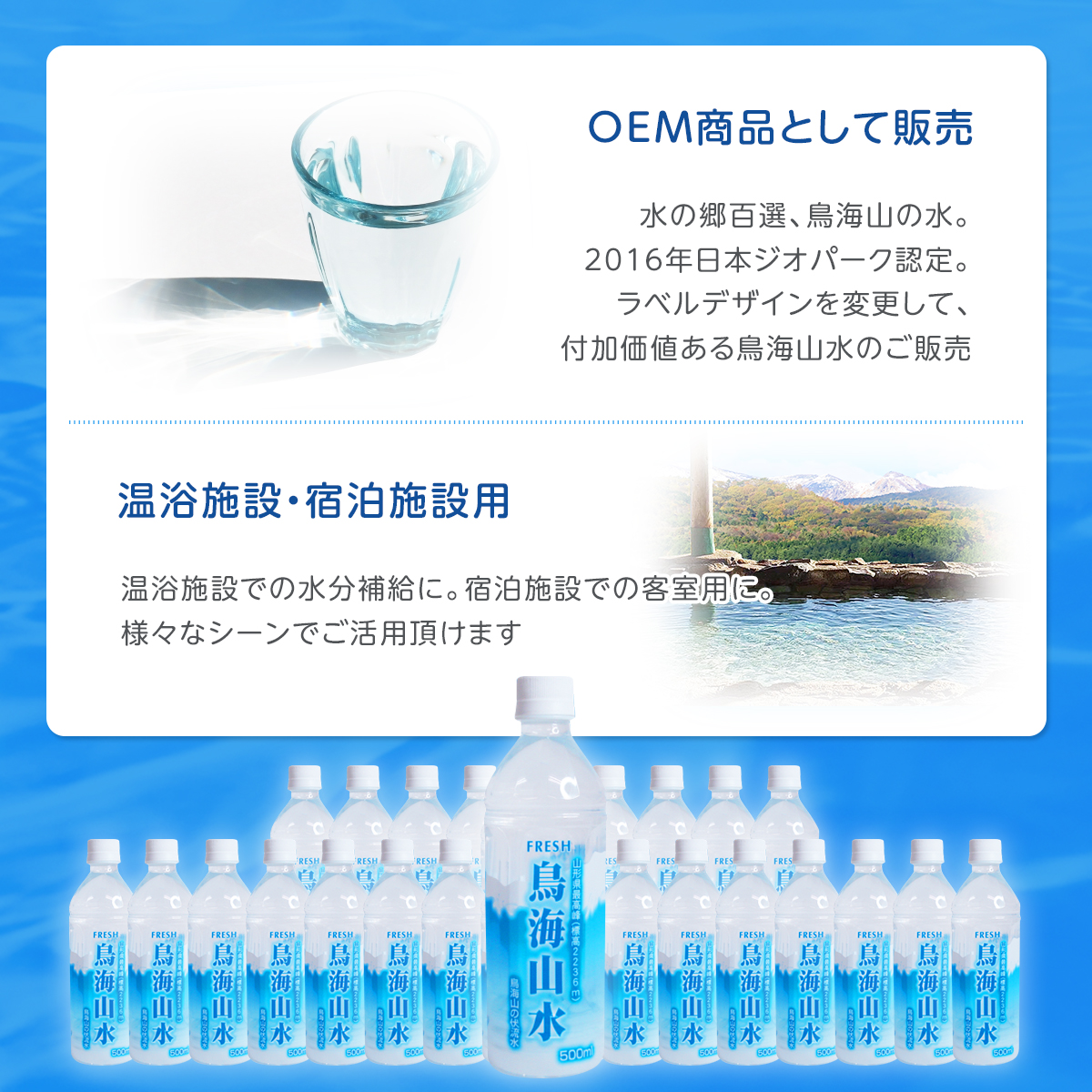  稲庭うどん切れ端 お試し用
