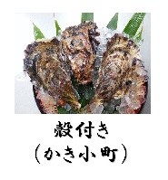 殻付き牡蠣