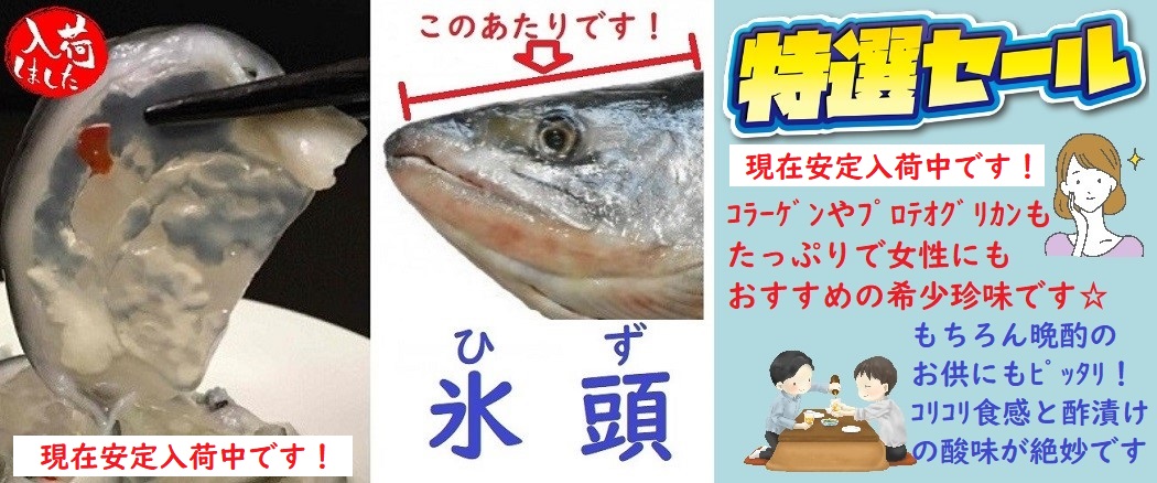 北海道産鮭とば300ｇ 鮭、サーモン