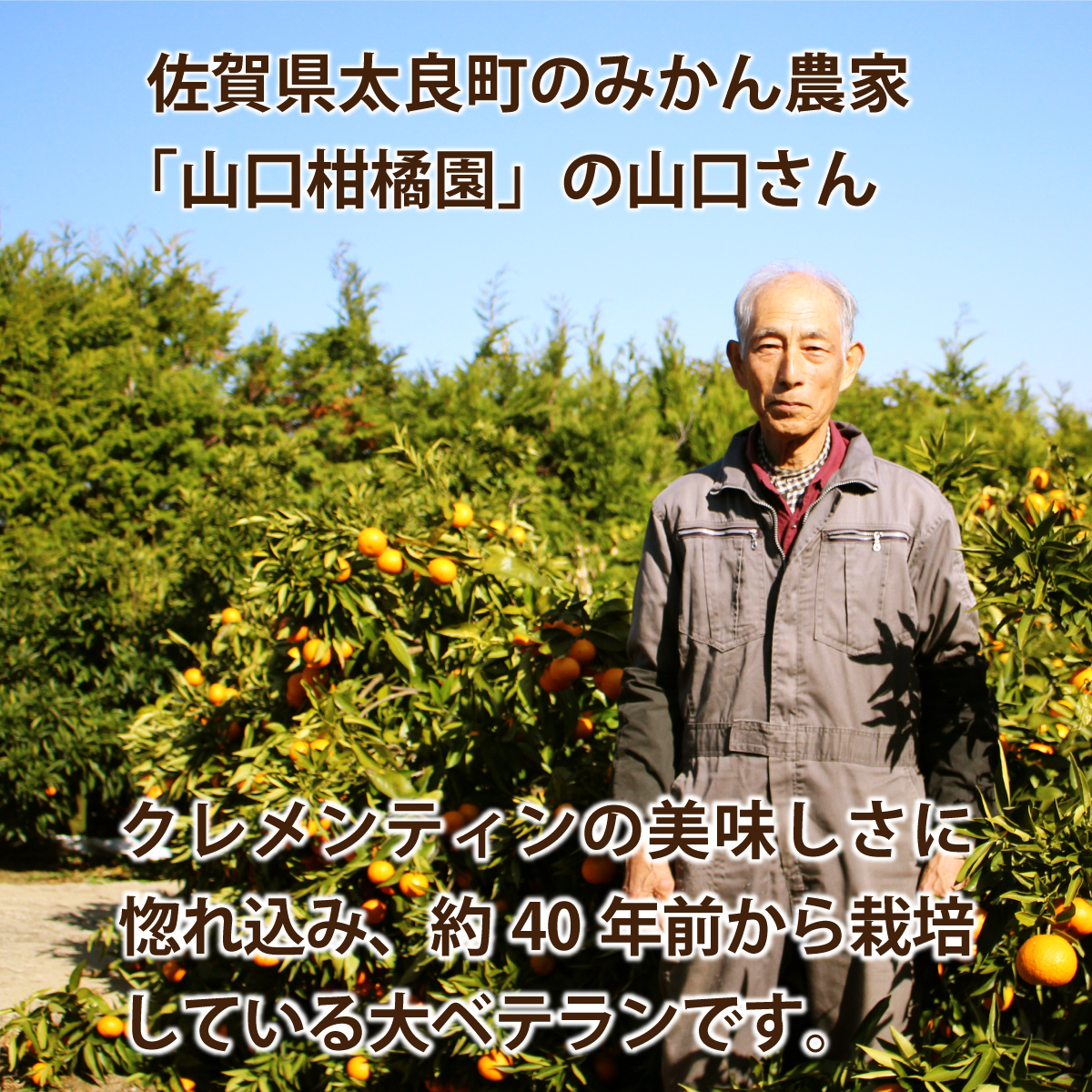 クレメンティン 佐賀 送料無料 みかん クレメンタイン 1箱 約2kg(28