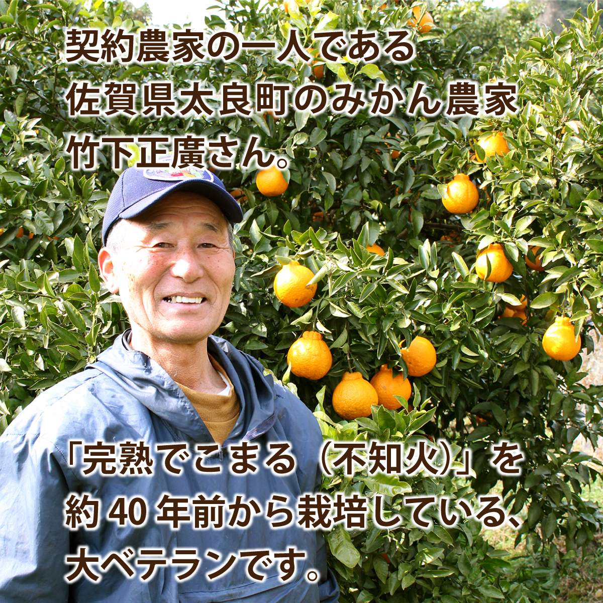 まるかじり九州 不知火 熊本 佐賀 完熟でこまる 3箱セット 1箱あたり約