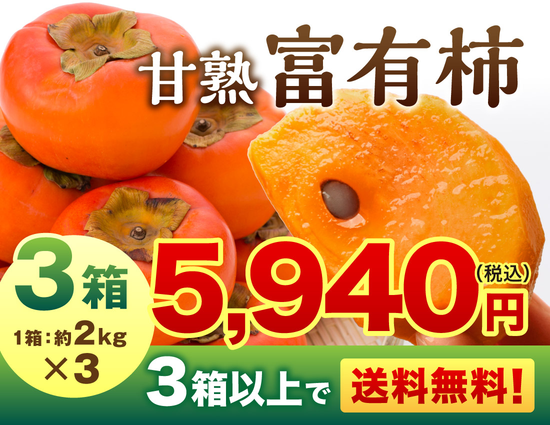 ＼完売御礼！／ 福岡特産 甘熟 “名人” 富有柿 1箱 約2kg 福岡 産地直送