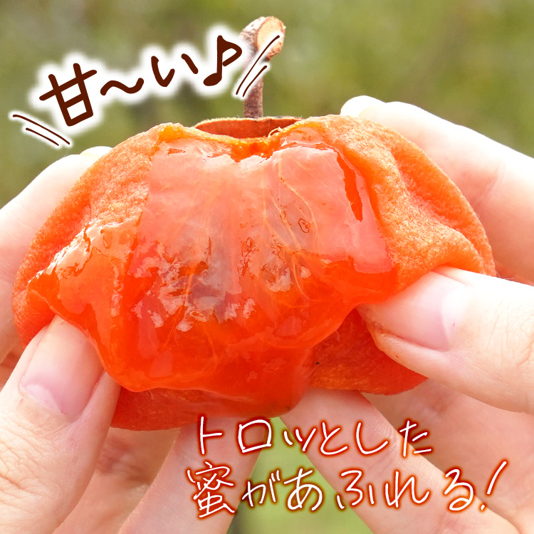 まるかじり九州 干し柿 福岡 干柿 ドライフルーツ 送料無料 1パック