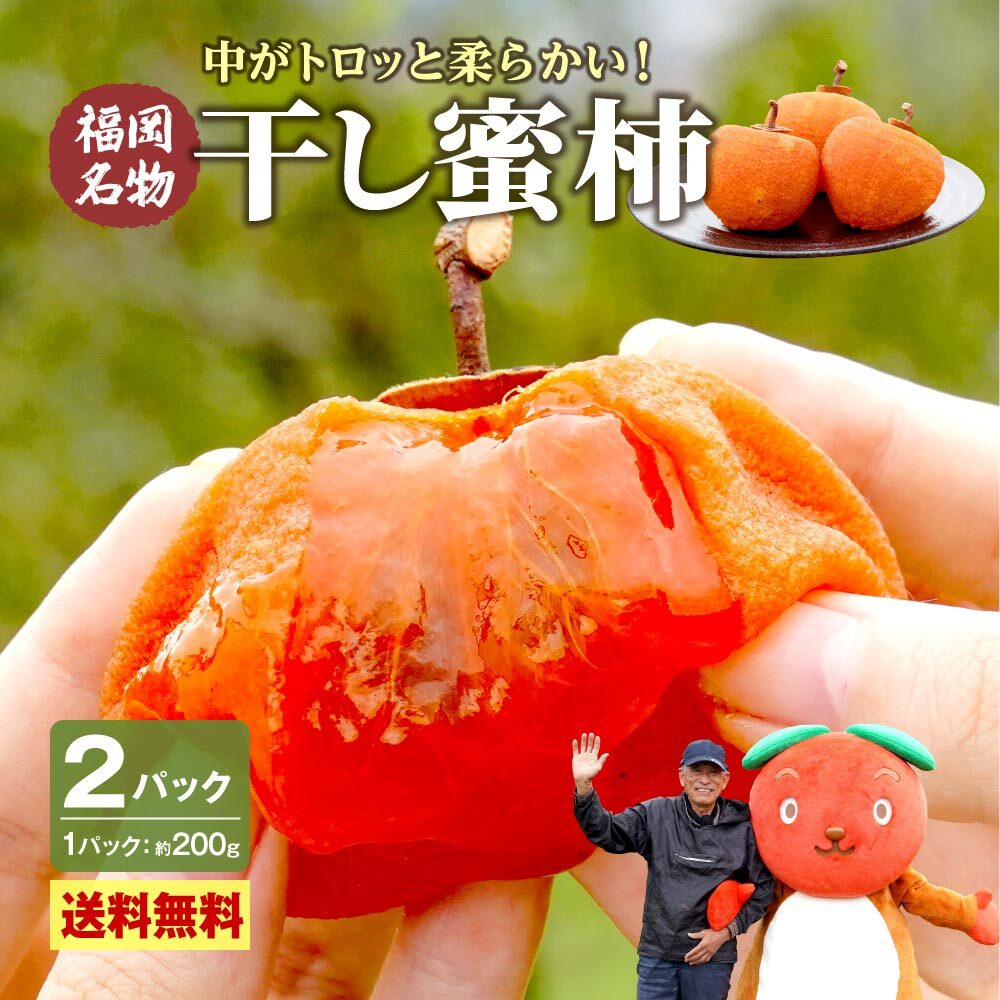 まるかじり九州 干し柿 福岡 干柿 ドライフルーツ 送料無料 2パック 1