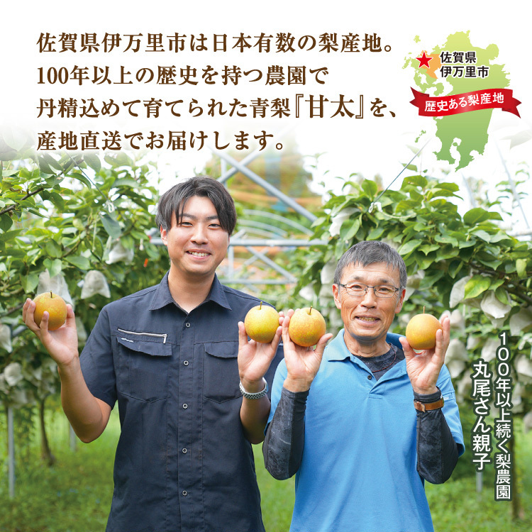 梨 甘太 佐賀 送料無料 伊万里の蜜梨 3箱セット 1箱あたり約2kg