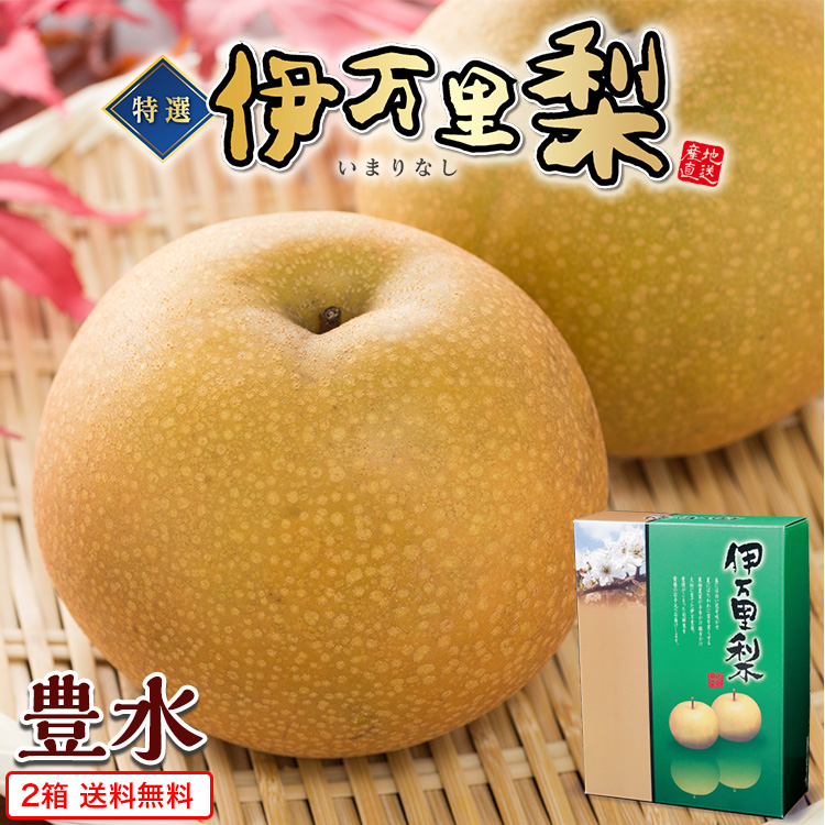 梨 豊水 佐賀 伊万里梨 2箱セット 1箱あたり約2.5kg(5~8玉) 産地直送