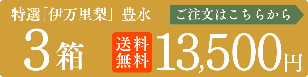 梨 豊水 佐賀 伊万里梨 2箱セット 1箱あたり約2.5kg(5~8玉) 産地直送